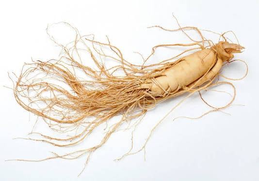 Korean Gingseng